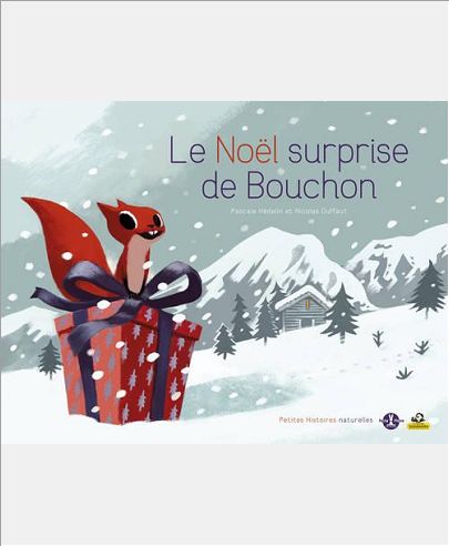LE NOEL SURPRISE DE BOUCHON