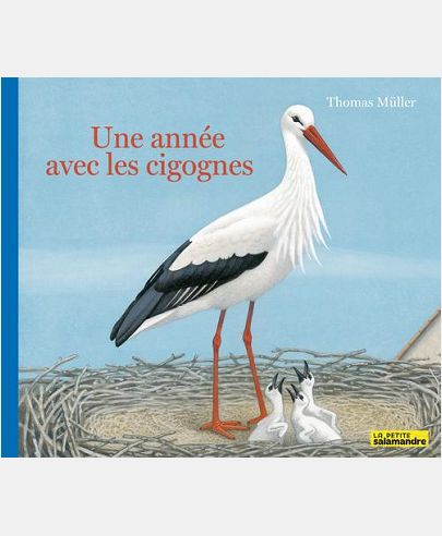 UNE ANNEE AVEC LES CIGOGNES