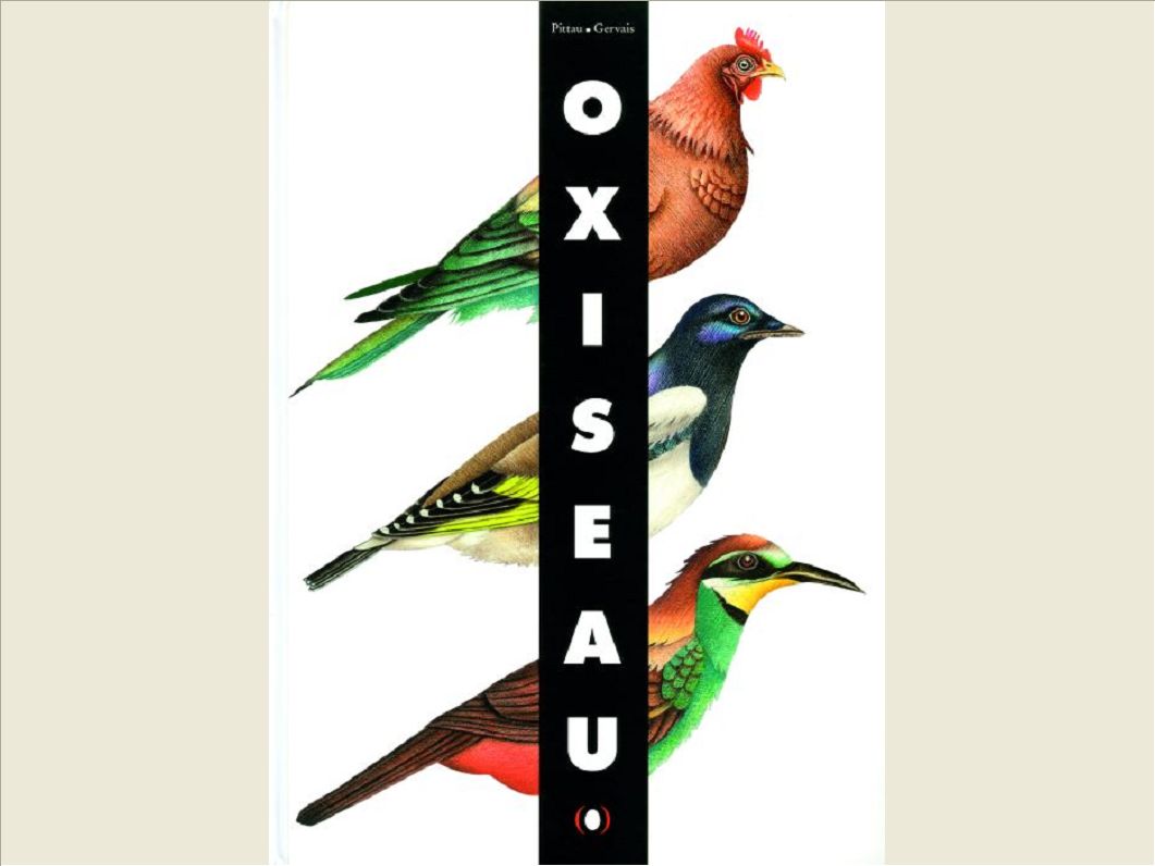 OISEAUX