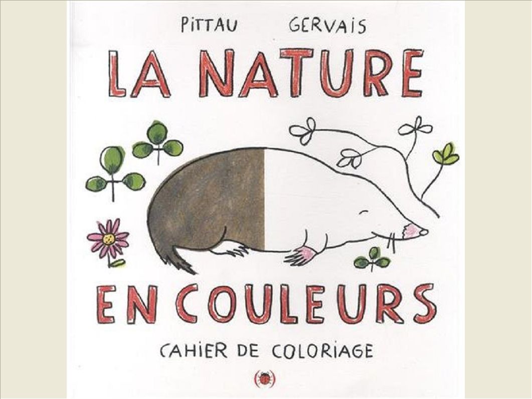 LA NATURE EN COULEURS