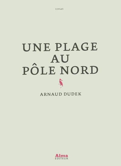 UNE PLAGE AU POLE NORD
