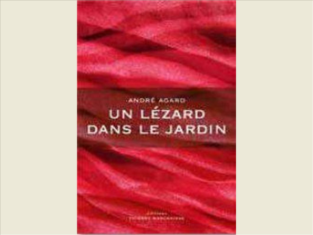 UN LEZARD DANS LE JARDIN