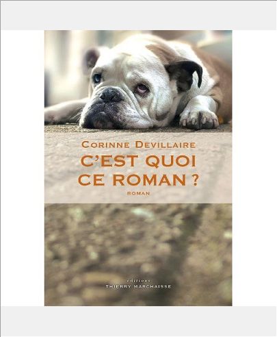 C'EST QUOI CE ROMAN ?