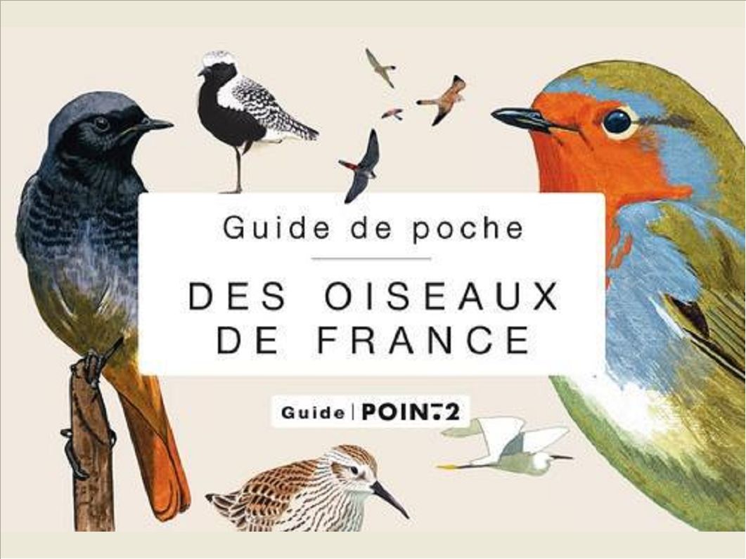 GUIDE DE POCHE DES OISEAUX DE FRANCE