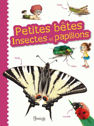 INSECTES ET PAPILLONS