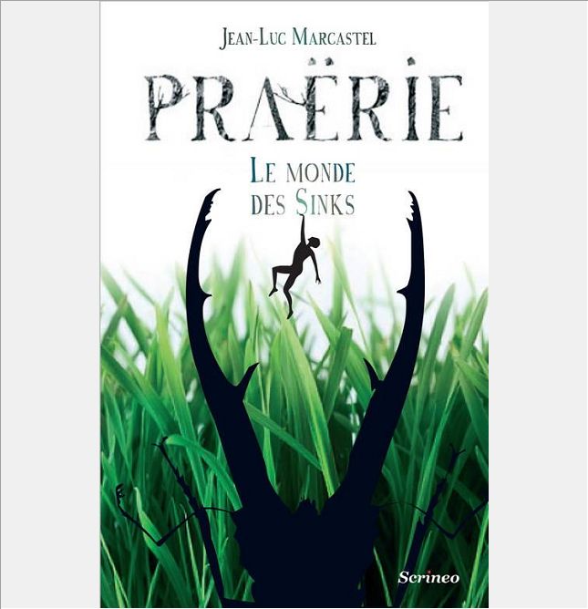 PRAERIE : LE MONDE DES SINKS