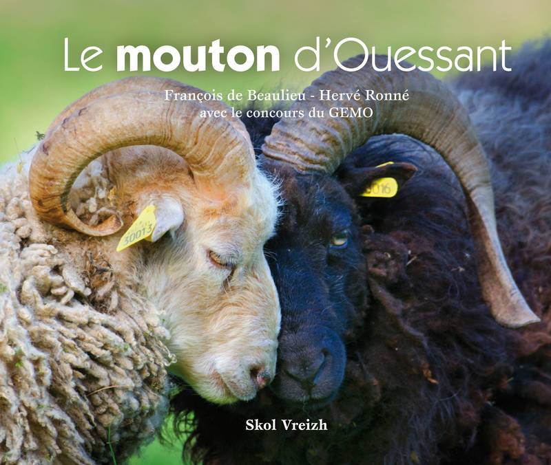 LE MOUTON D'OUESSANT