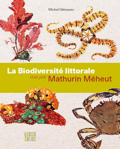 BIODIVERSITE LITTORALE VUE PAR MEHEUT