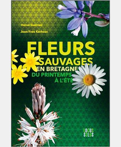 FLEURS SAUVAGES EN BRETAGNE, DU PRINTEMPS A L'ETE