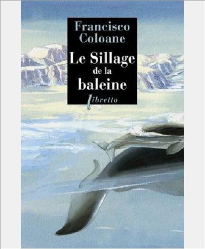 LE SILLAGE DE LA BALEINE