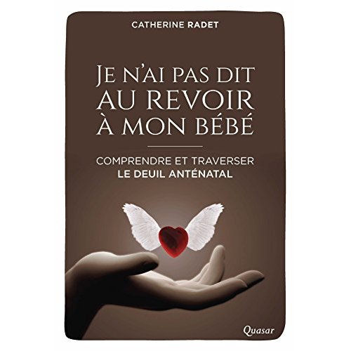 JE N'AI PAS DIT AU REVOIR A MON BEBE