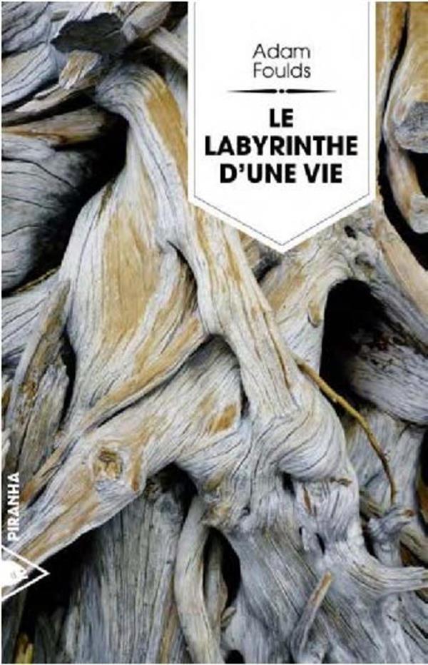 LE LABYRINTHE D'UNE VIE