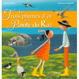 LES TROIS PLUMES D'OR DE COUMODOC POINTE DU RAZ