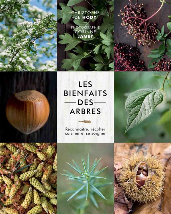 LES BIENFAITS DES ARBRES - RECONNAITRE, RECOLTER, CUISINER ET SE SOIGNER