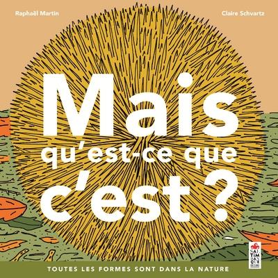 MAIS QU'EST-CE QUE C'EST ?