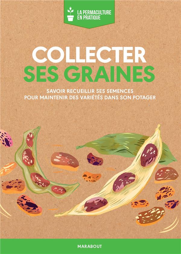 LA PERMACULTURE EN PRATIQUE : COLLECTER SES GRAINES