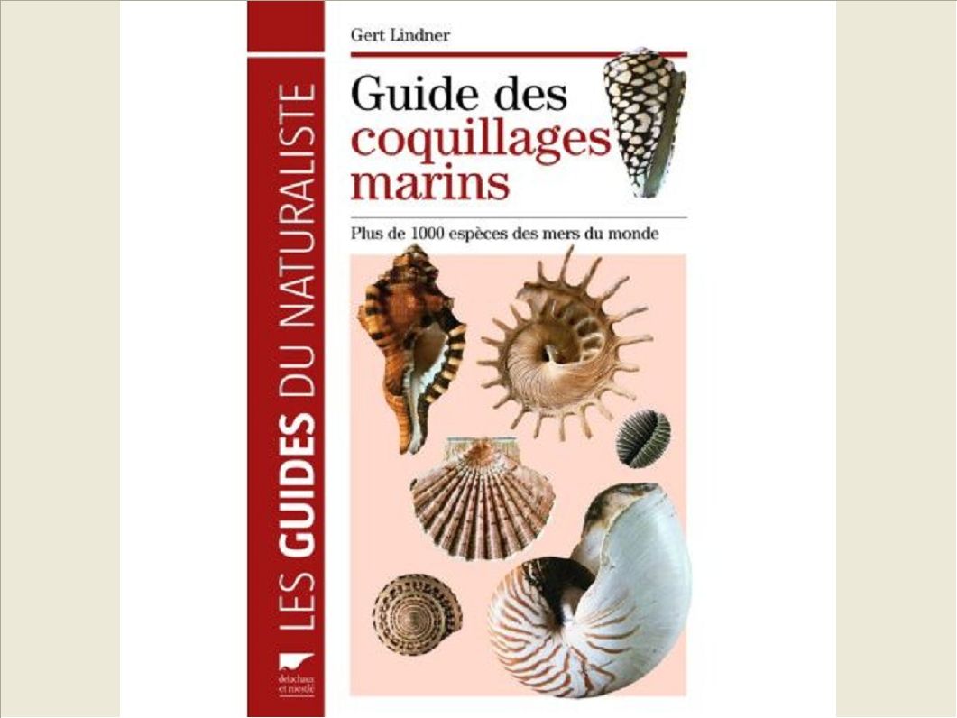 GUIDE DES COQUILLAGES MARINS. PLUS DE 1000 ESPECES DES MERS DU MONDE
