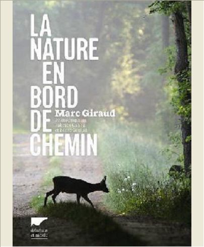 LA NATURE EN BORD DE CHEMIN