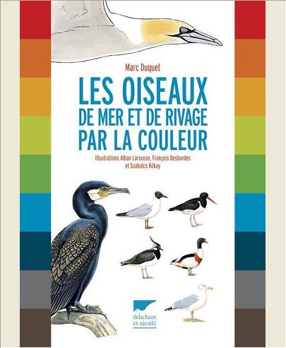 LES OISEAUX DE MER ET DE RIVAGE PAR LA COULEUR