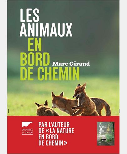 LES ANIMAUX EN BORD DE CHEMIN