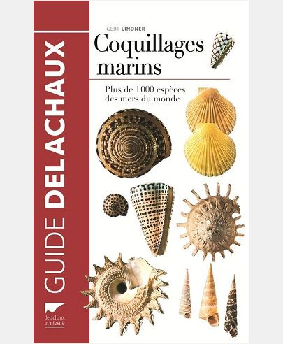COQUILLAGES MARINS. PLUS DE 1000 ESPECES DES MERS