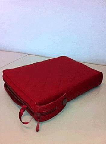 BIBLE SEGOND 21 MATELASSEE BIBLE SANS ONGLET AVEC FERMETURE