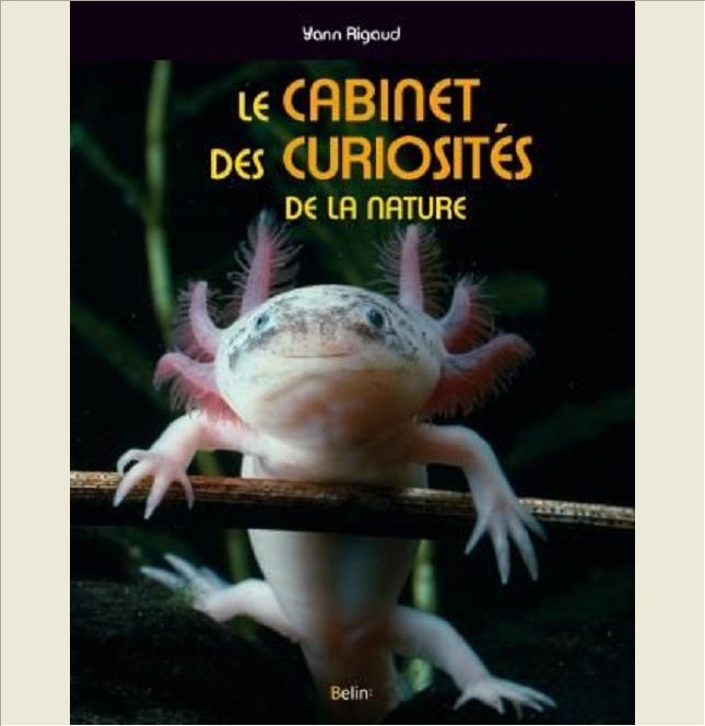 LE CABINET DES CURIOSITES DE LA NATURE