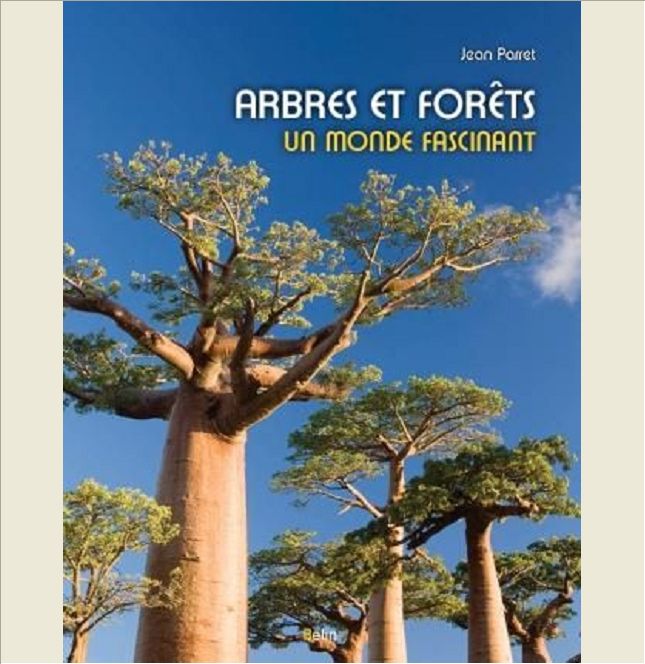 ARBRES ET FORETS - <SPAN>UN MONDE FASCINANT</SPAN>