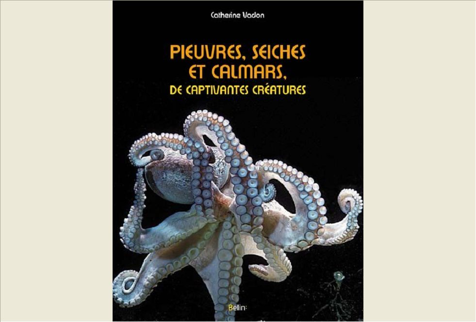 PIEUVRES, SEICHES ET CALMARS, DE CAPTIVANTES CREATURES