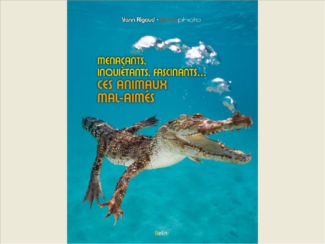 MENACANTS, INQUIETANTS, FASCINANTS... - CES ANIMAUX MAL-AIMES