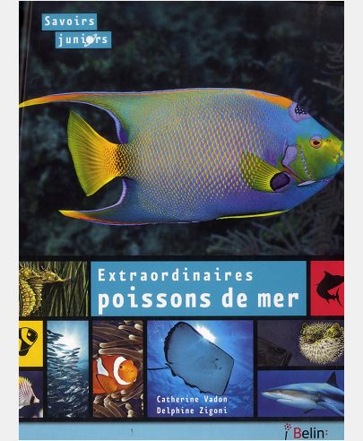 EXTRAORDINAIRES POISSONS DE MER
