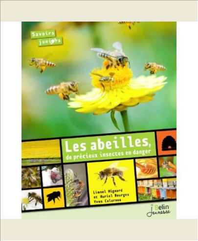 LES ABEILLES, DE PRECIEUX INSECTES EN DANGER (NOUVELLE EDITION)