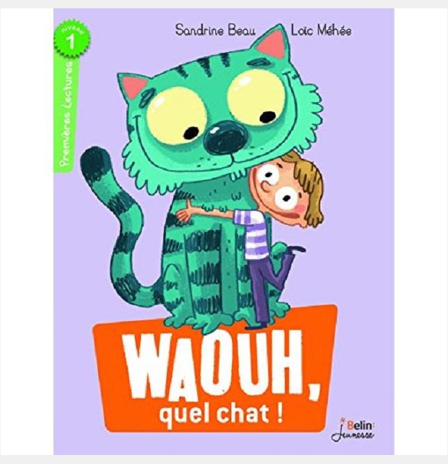 WAOUH, QUEL CHAT ! - NIVEAU 1