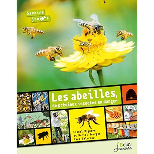 LES ABEILLES, DE PRECIEUX INSECTES EN DANGER NE