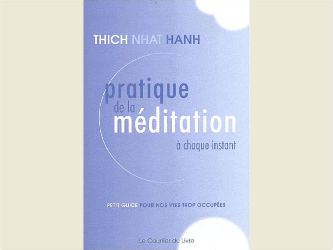 PRATIQUE DE LA MEDITATION A CHAQUE INSTANT