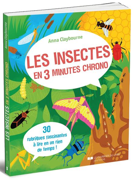 LES INSECTES EN 3 MINUTES CHRONO