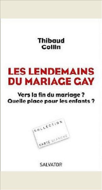 LES LENDEMAINS DU MARIAGE GAY. VERS LA FIN DU MARIAGE ? QUELLE PLACE POUR LES ENFANTS ?