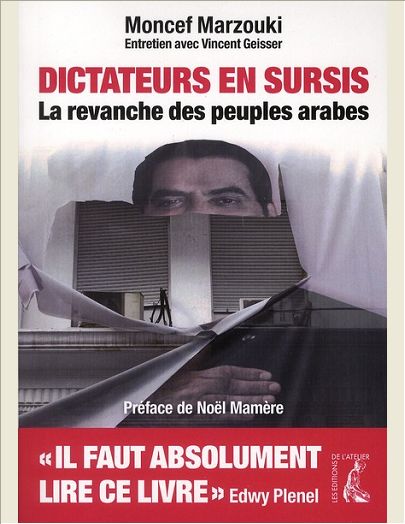 DICTATEURS EN SURSIS LA REVANCHE DES PEUPLES ARABES - ENTRETIEN AVEC VINCENT GEISSER