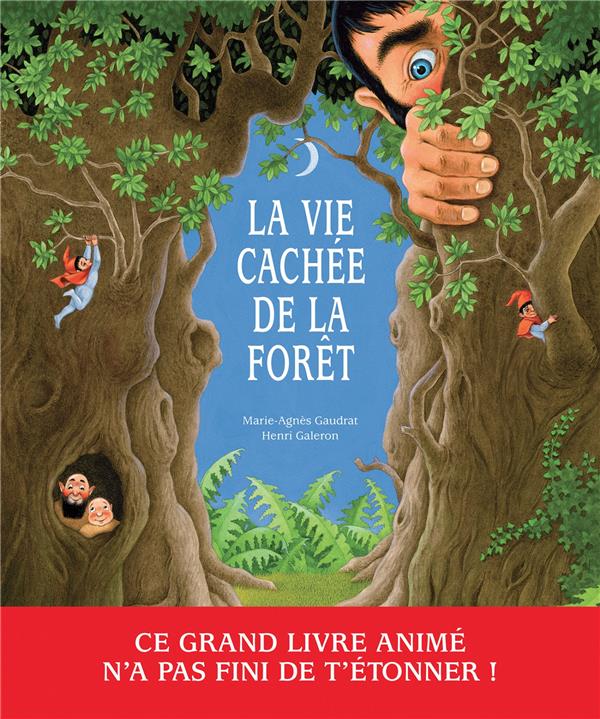 LA VIE CACHEE DE LA FORET