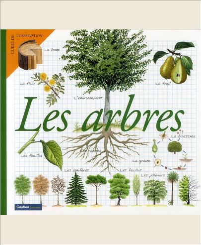 LES ARBRES