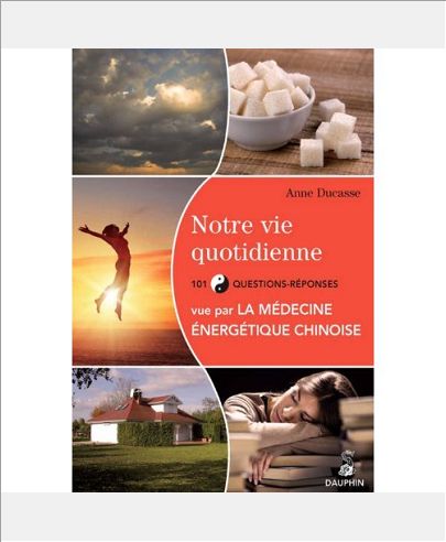 NOTRE VIE QUOTIDIENNE VUE PAR LA MEDECINE ENERGETIQUE CHINOISE ET LES CINQ ELEMENTS 101 QUESTIONS-RE