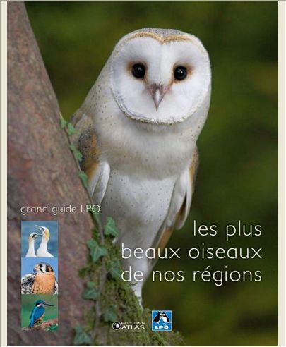 LES PLUS BEAUX OISEAUX DE NOS REGIONS
