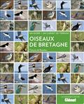 OISEAUX DE BRETAGNE