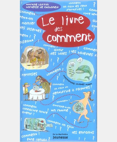 LE LIVRE DES COMMENT
