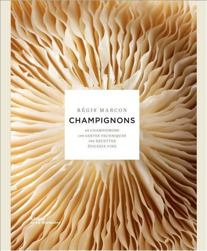 CHAMPIGNONS - 65 CHAMPIGNONS