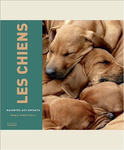 LES CHIENS RACONTES (MONDE RACONTE)