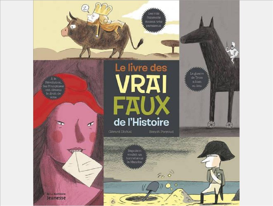 LE LIVRE DES VRAI FAUX DE L HISTOIRE
