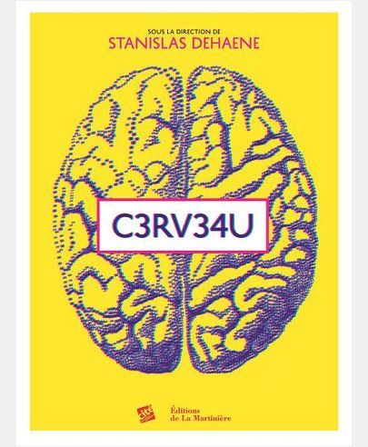 CERVEAU. L'EXPO NEUROLUDIQUE DE LA CITE DES SCIENCES ET DE L'INDUSTRIE