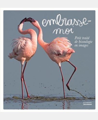 EMBRASSE-MOI. PETIT TRAITE DE BISOULOGIE EN IMAGES