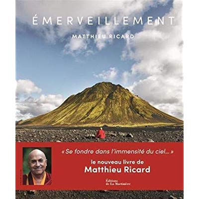 EMERVEILLEMENT